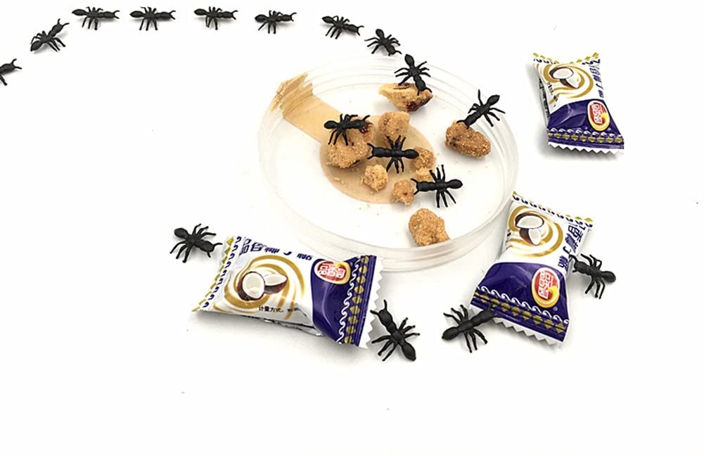 ALIMITOPIA 200pcs Fake Black Ant Realistic Imitation Bug for Halloween Prank Props (Ant,Black)